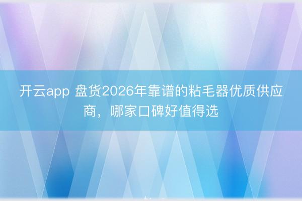 开云app 盘货2026年靠谱的粘毛器优质供应商，哪家口碑好值得选