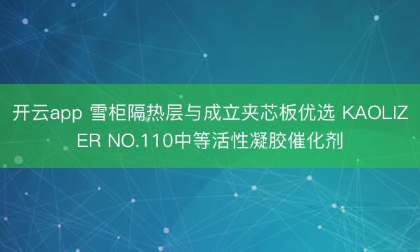 开云app 雪柜隔热层与成立夹芯板优选 KAOLIZER NO.110中等活性凝胶催化剂