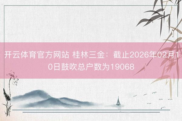 开云体育官方网站 桂林三金：截止2026年02月10日鼓吹总户数为19068